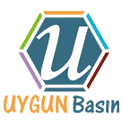 UYGUN BASIN